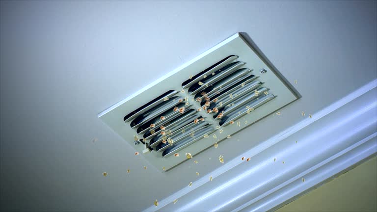 Best Affordable Air Duct Cleaning  in Westmont, IL